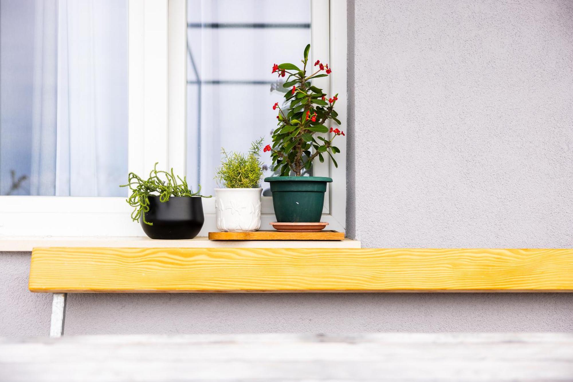 Apartman Nora 奥米什 外观 照片